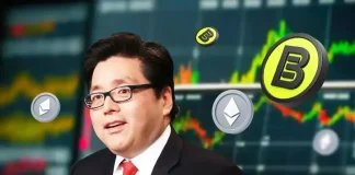BMNR Stock Tumbles as Tom Lee Defends BitMine’s $6B Ethereum Treasury Loss