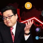 Crypto Crash Deepens as Tom Lee Warns of “Painful Decline” in 2026 Before Late-Year Bounce
