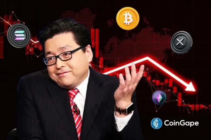<p>Bitcoin and other altcoins have continues its downtrend as the crypto crash worsens. Bitmine and Fundstrat’s Tom Lee has warned that this could just be the start of a major decline in 2026. Crypto Crash Intensifies as Tom Lee Projects Further Decline The BTC price has fallen below $90,000 after previously rallying towards the $100,000</p>
<p>The post <a href="https://coingape.com/crypto-crash-deepens-as-tom-lee-warns-of-painful-decline-in-2026-before-late-year-bounce/">Crypto Crash Deepens as Tom Lee Warns of “Painful Decline” in 2026 Before Late-Year Bounce</a> appeared first on <a href="https://coingape.com/">CoinGape</a>.</p>
<br>