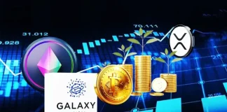 Galaxy Digital Raises $100M to Launch Crypto Hedge Fund