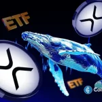 XRP Whale Accumulation and ETF Inflows Hit Multi-Month Highs, Analyst Says
