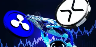 XRP Whales Turn More Bullish as Ripple Execs Head to Major XRPL Japan Event