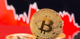 Crypto Market Update: Bitcoin Price Slide Drives Half-Trillion Crypto Wipeout